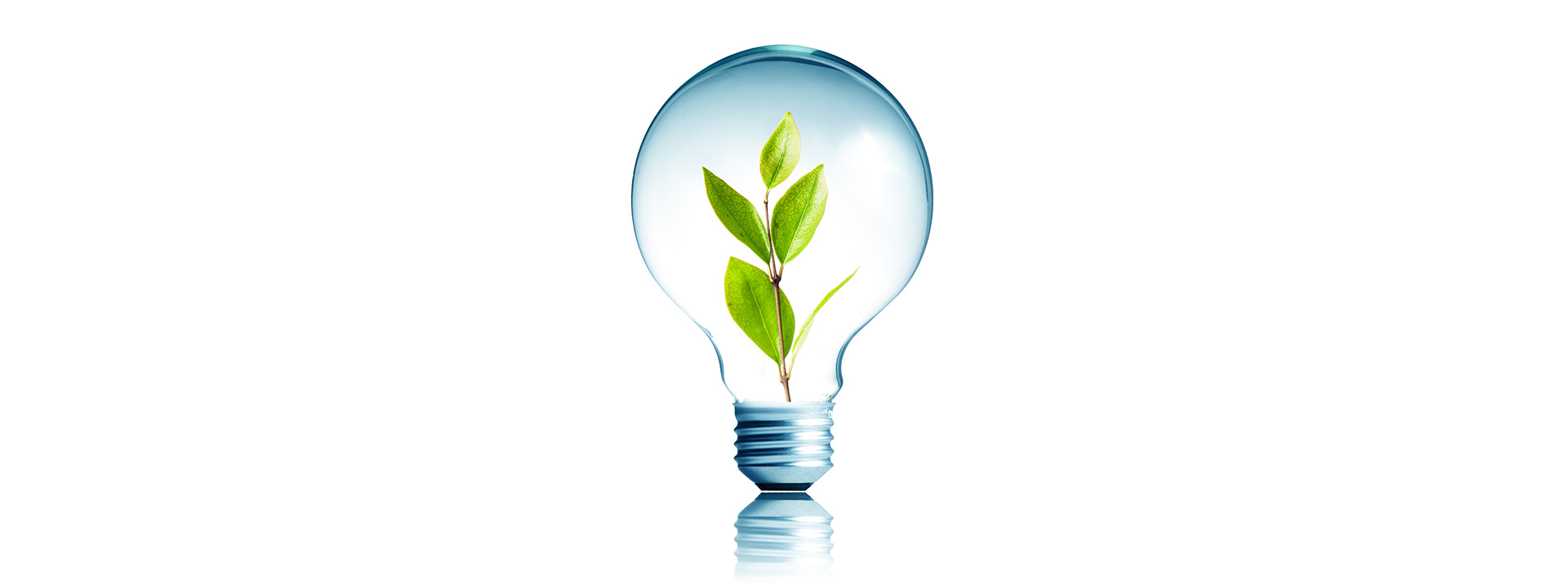 greenway_logistics_innovatie