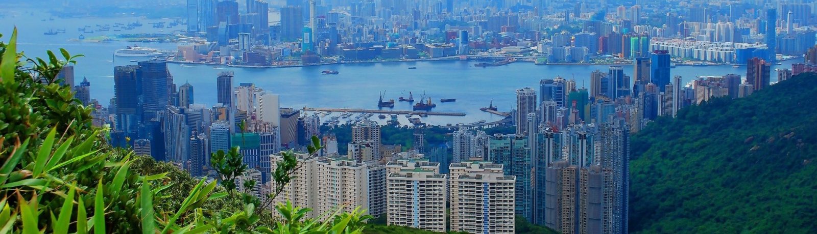 Greenway Logistics opens office in China